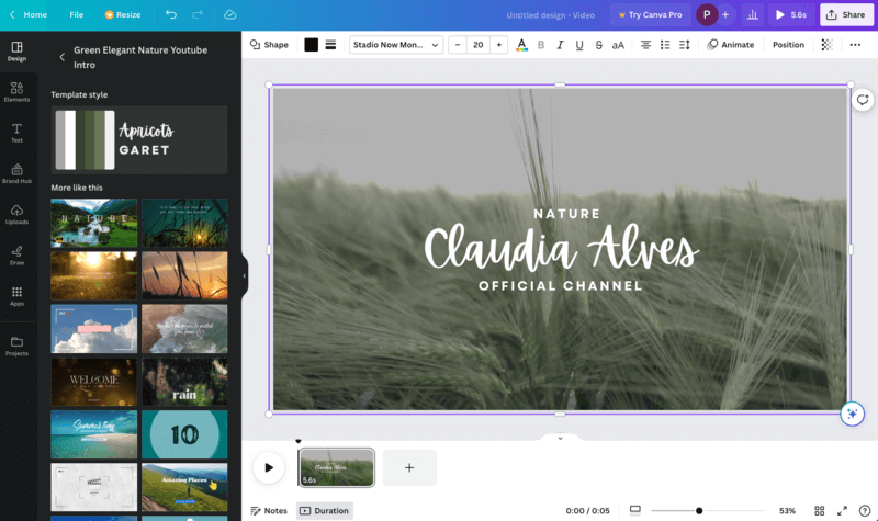 Canva - online free no watermark video editor