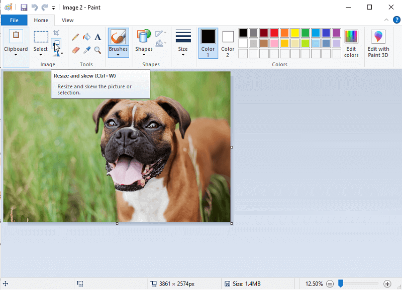 Resize Button in Paint.