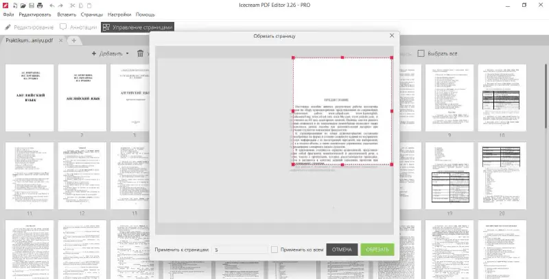 Определите область обрезки PDF в Icecream PDF Editor