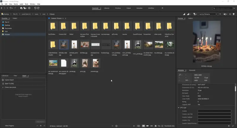 Adobe Bridge photo organization software