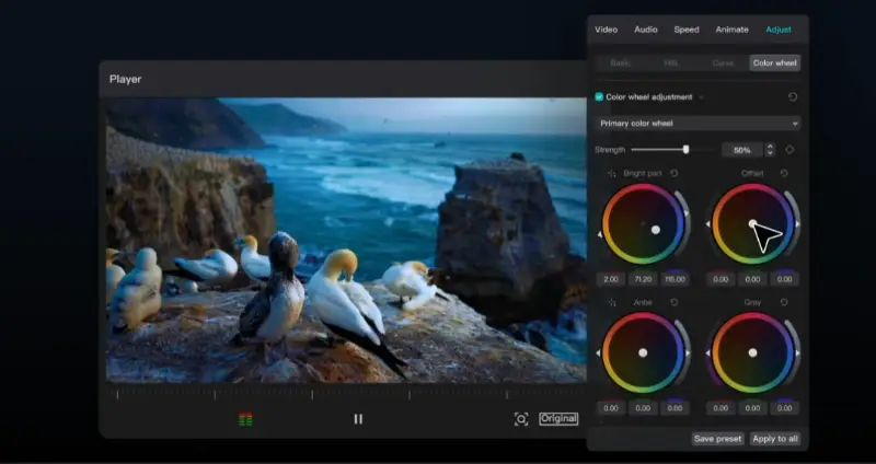 How to edit video on Windows in CapCut How to edit video on Windows in CapCut