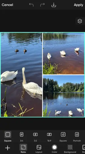 How to create a collage in PicsArt