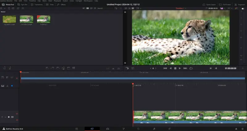 Профессиональный AVI редактор DaVinci Resolve