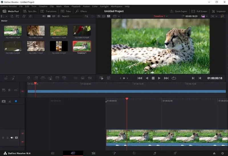 DaVinci video editor