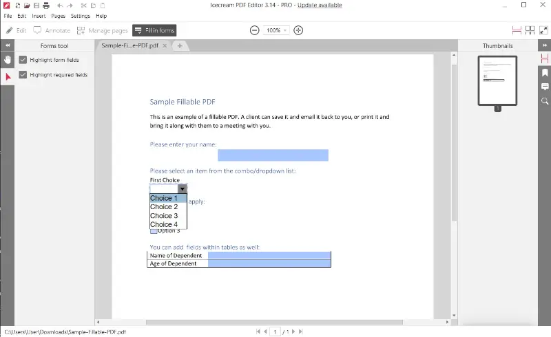 Icecream PDF Editor - PDF form filler free for Windows