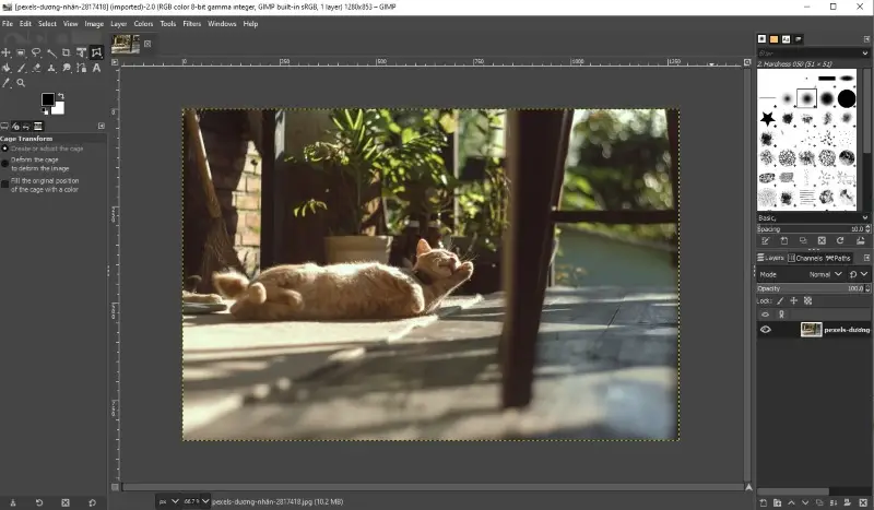 Photo Editing With GIMP: 10 Popular Techniques in 2024