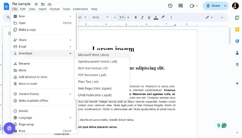 Save PDF as Word in Google Docs