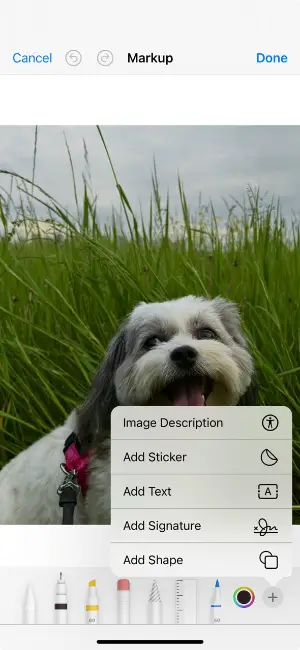 How to add a watermark to photos on iOS in Photos app using Markup