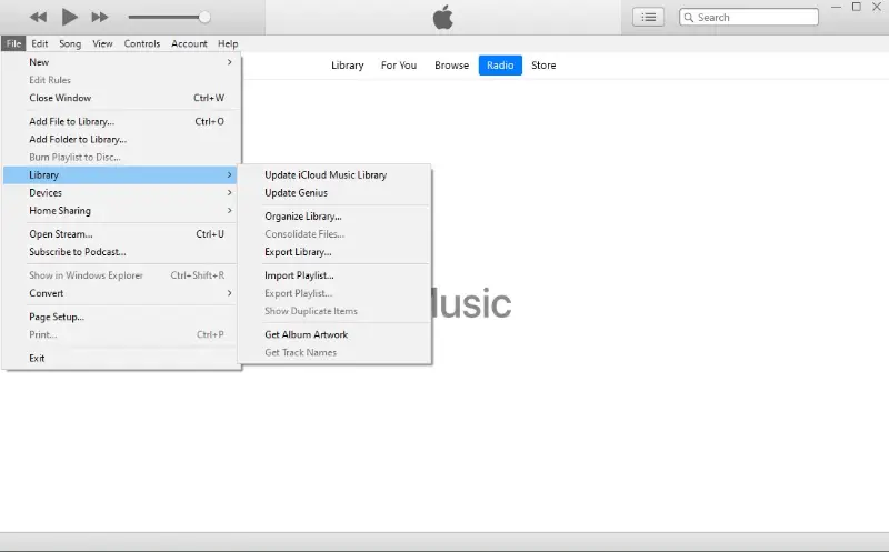 iTunes media player