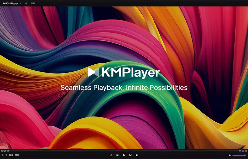 KMPlayer interface