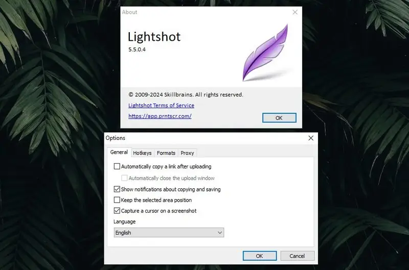 Snipping Tool free alternative