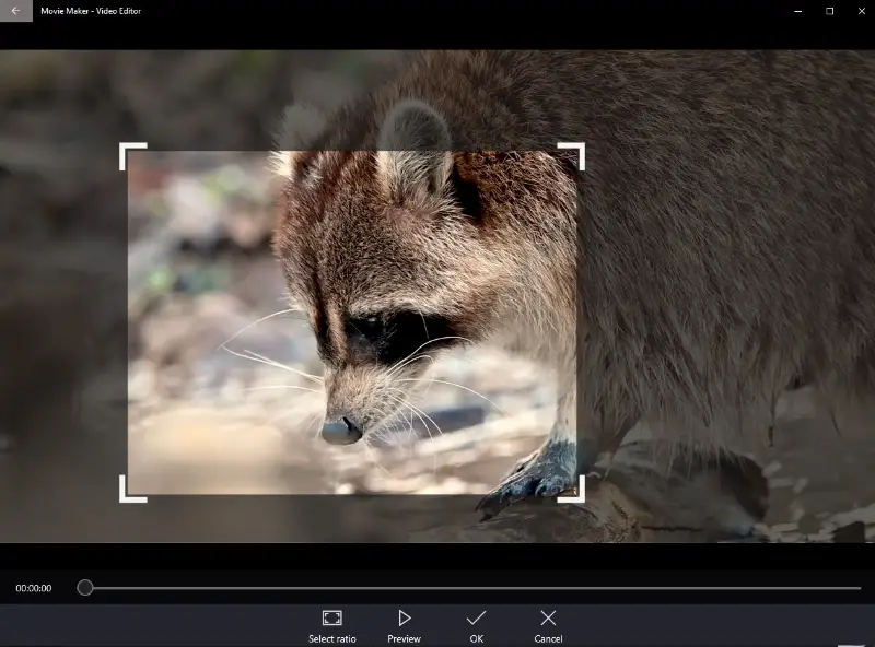 Crop a video in Movie Maker