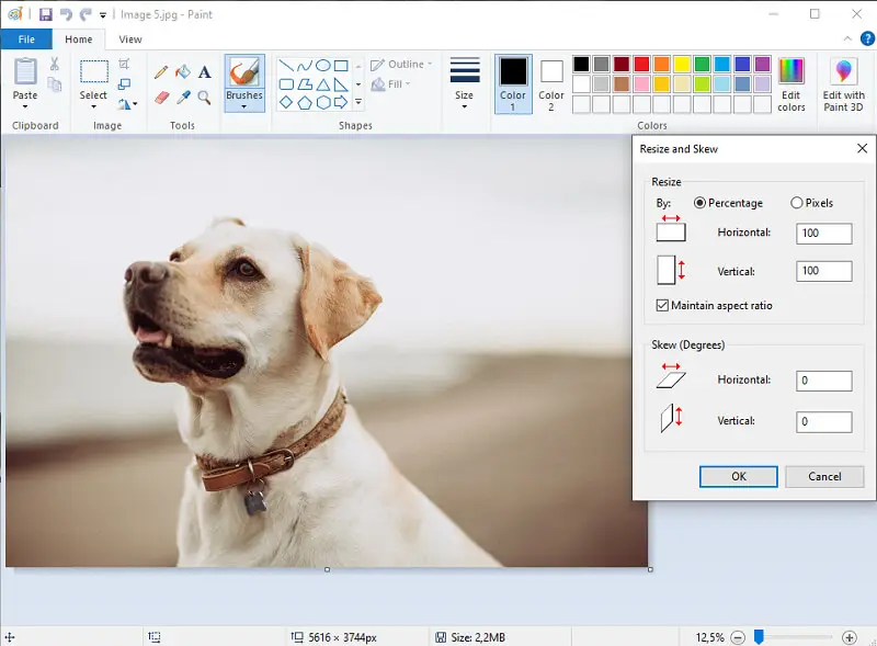 Microsoft Paint Interface