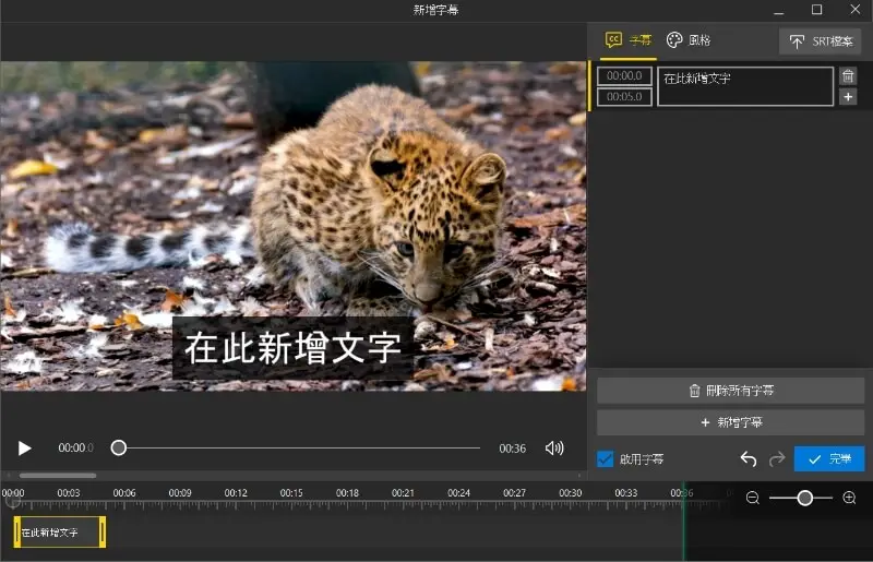 如何在 Icecream Video Editor 中為視訊加入字幕