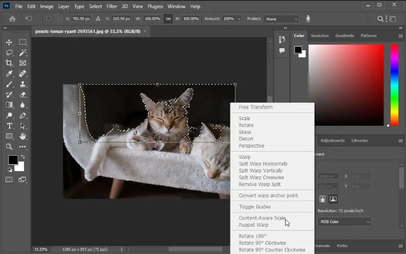 GIMP vs Photoshop: Which Image Editor Is Better? - Icecream Apps