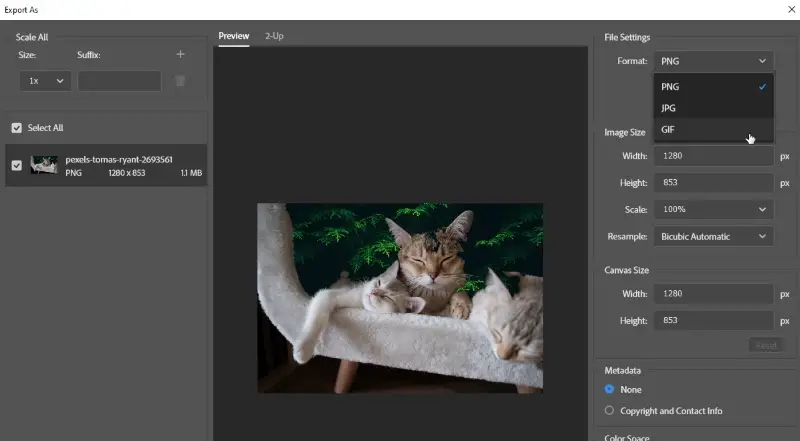 GIMP vs Photoshop: Which Image Editor Is Better? - Icecream Apps