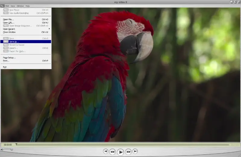 QuickTime macOS screen recorder