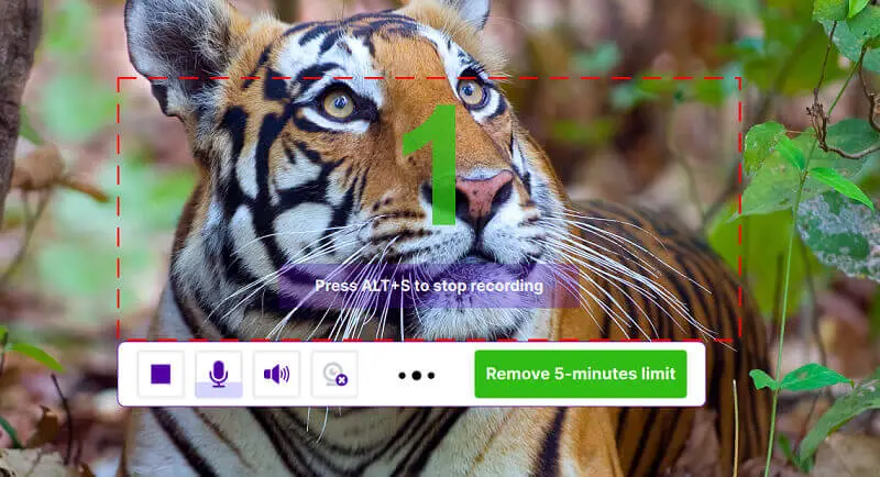 Capture video with ScreenRec