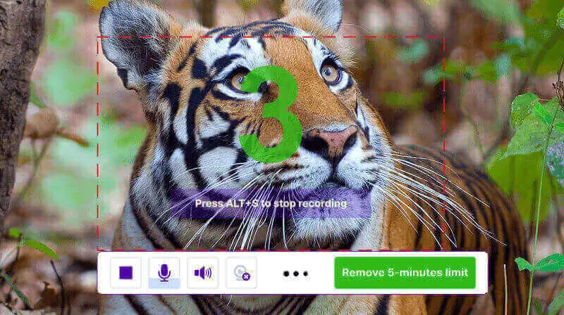 Screen recording of YouTube videos Screen recording of YouTube videos