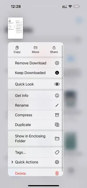 Opening PDF in Files app on iPhone Opening PDF in Files app on iPhone