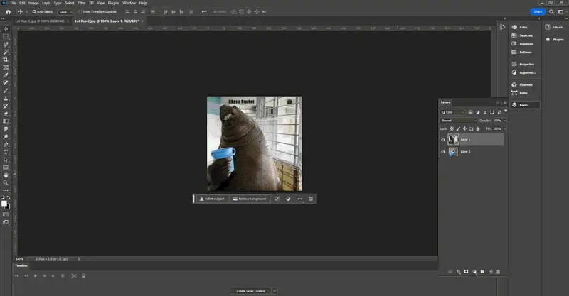 How to Create a Gif in 5 Easy Steps - Bad Rhino