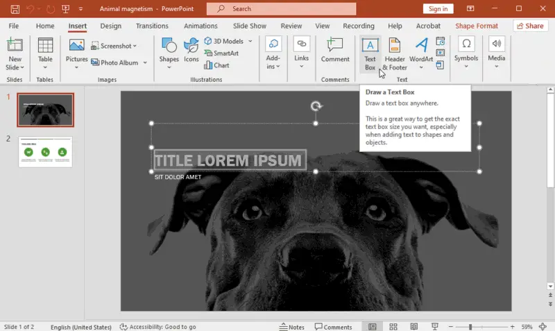 Microsoft PowerPoint