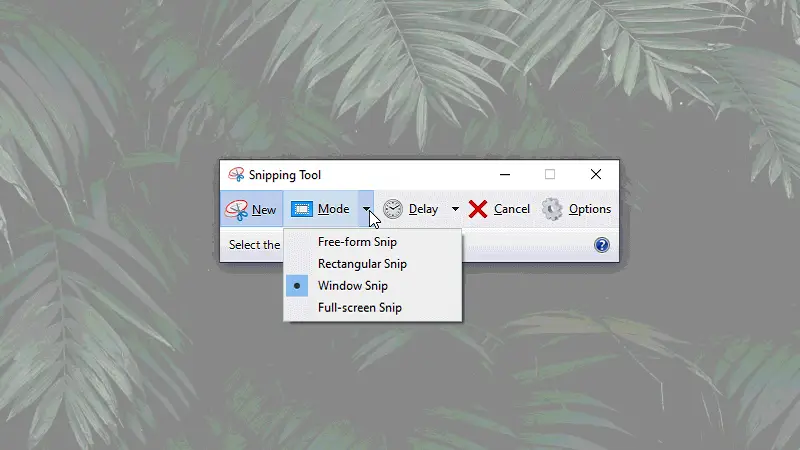 The Snipping Tool 2.