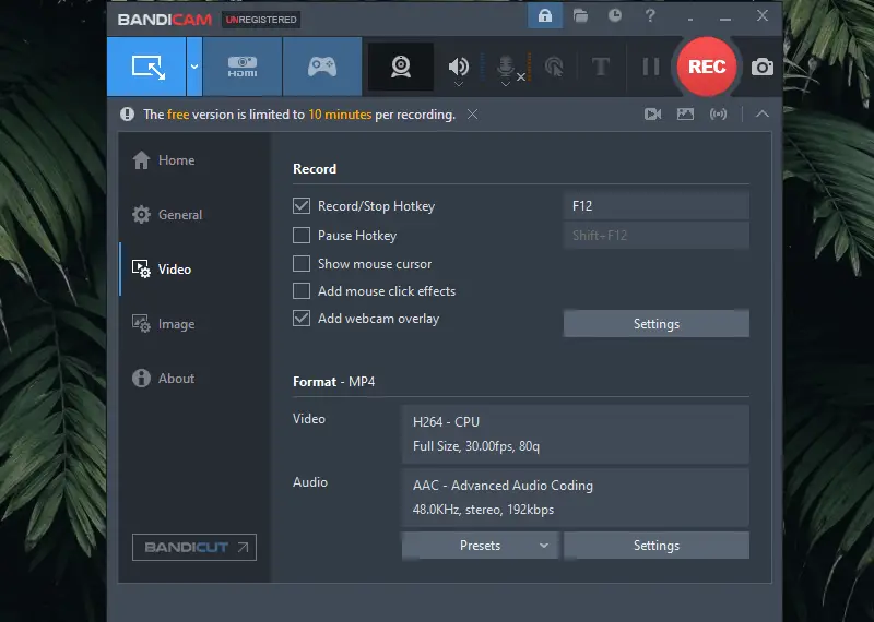 Bandicam Video Settings