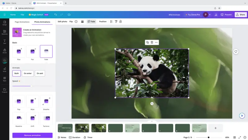 Animate images for the slideshow for YouTube using Canva