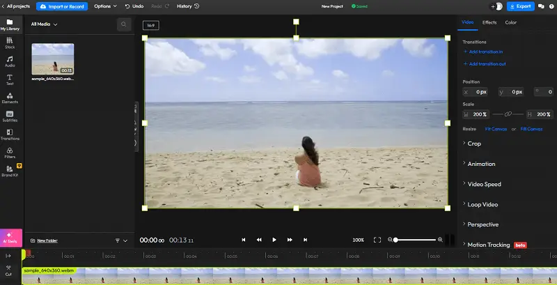 Online WebM Editor Online WebM Editor