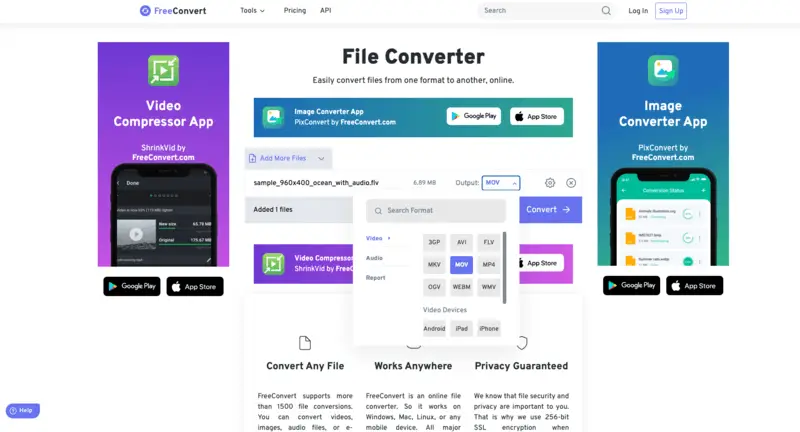 Convert FLV to MP4 and other formats with FreeConvert