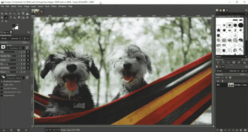 GIMP vs Photoshop: Which Image Editor Is Better? - Icecream Apps