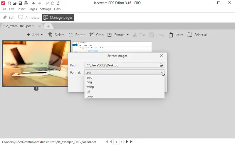 Выбор выходного формата для извлечения изображений из PDF в Icecream PDF Editor