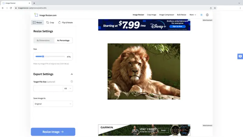Resize the image online - Image Resizer