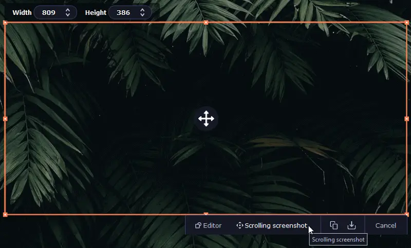Movavi Screen Recorder - scrolling screenshot option