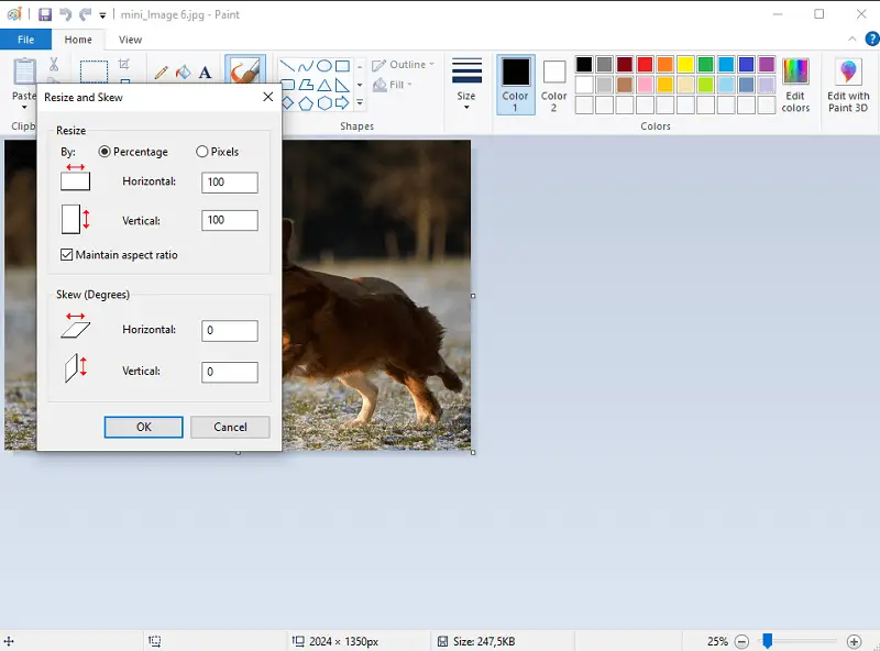 Paint - resize dialog box