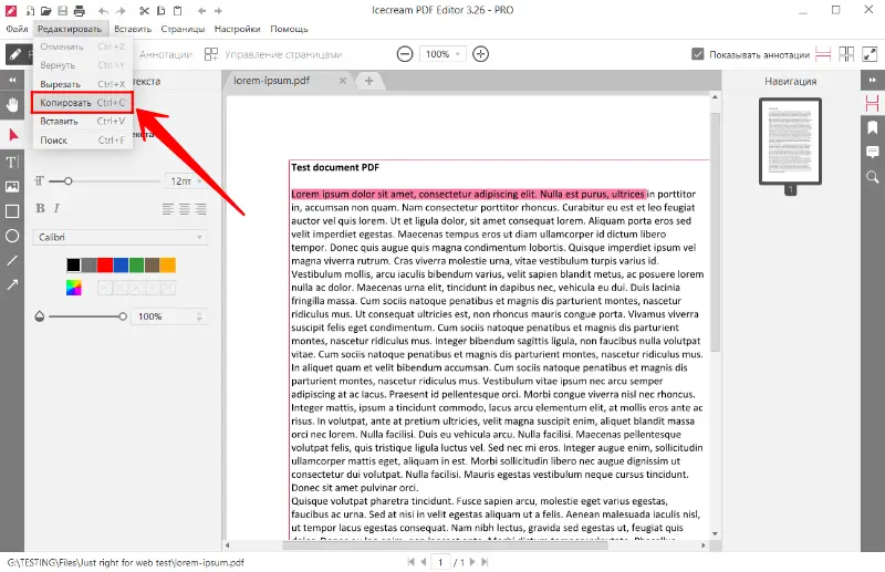 Как копировать текст из PDF с помощью Icecream PDF Editor