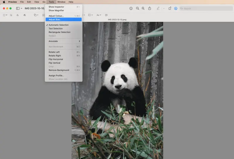 Free picture resizer for Mac - Preview