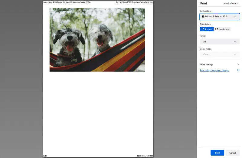 How to turn PNG to PDF format with Print to PDF feature in browser