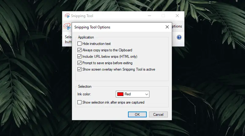The Snipping Tool 3