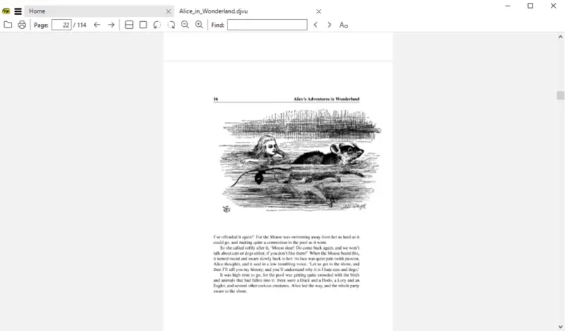 eBook reader for DjVu files