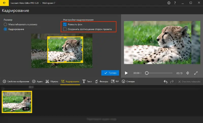 Настройки кадрирования видео в Icecream Video Editor