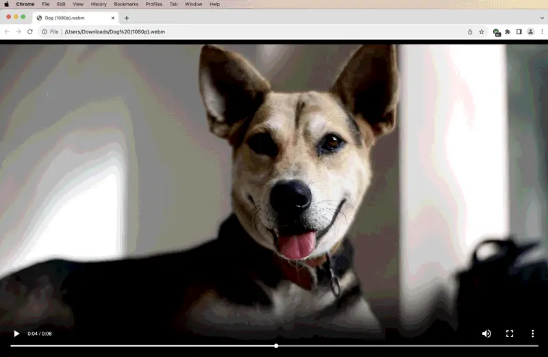 How to open WebM video in a browser