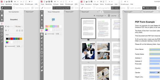 Bearbeiten Sie PDF in 4 Modi